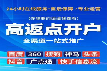 某电商平台的SEM推广策略及效果分析